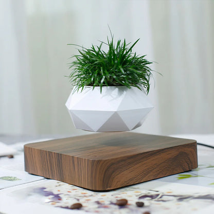 Floating Plant Pot