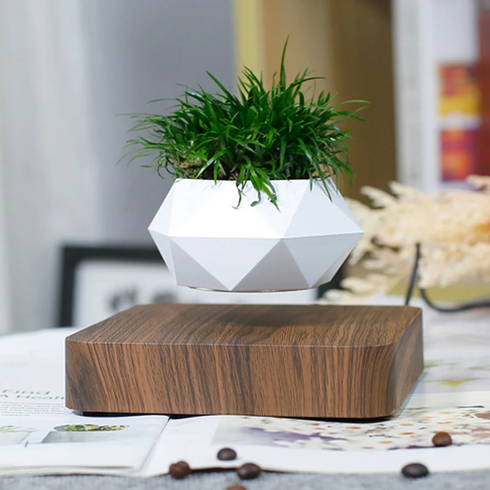 Floating Plant Pot