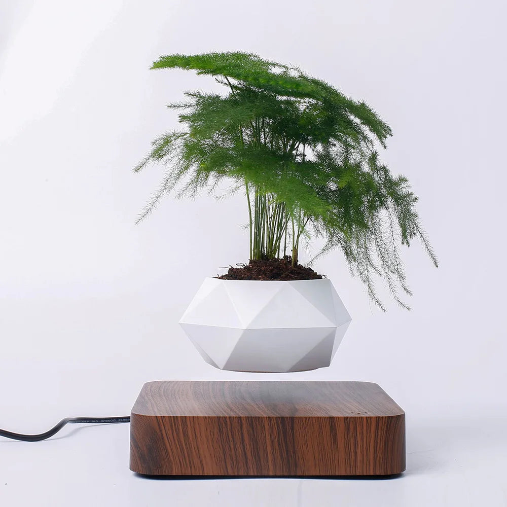 Floating Plant Pot