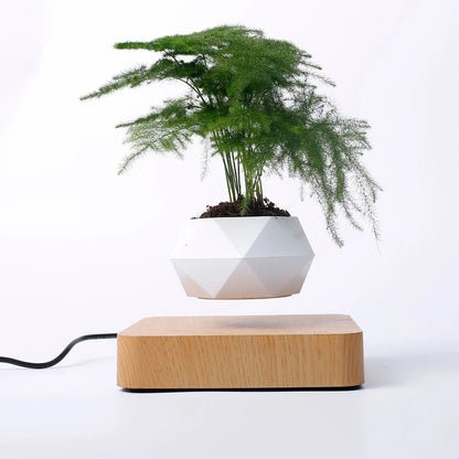 Floating Plant Pot