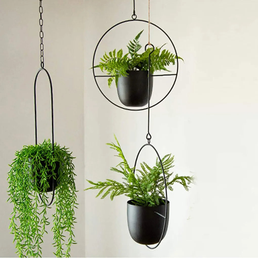 Hanging Flower Pot