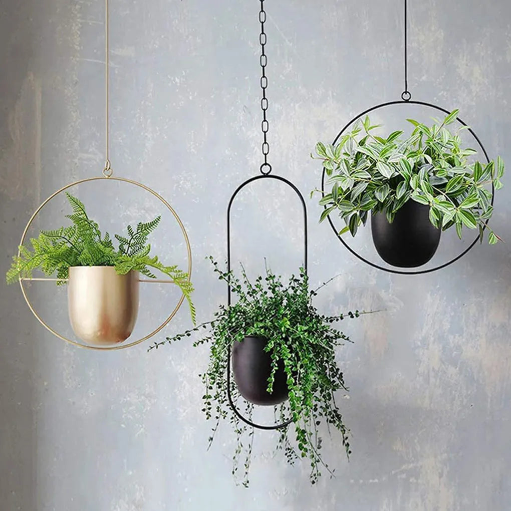 Hanging Flower Pot