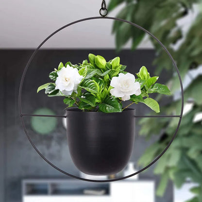 Hanging Flower Pot